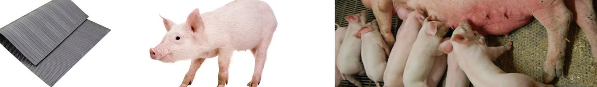 Sostaldmåtter SSM, somåtter, staldmåtter, for forebyggelse af skuldersår faresti Somåtter, staldmåtter, for forebyggelse af skuldersår faresti, Sostaldmåtte SSM